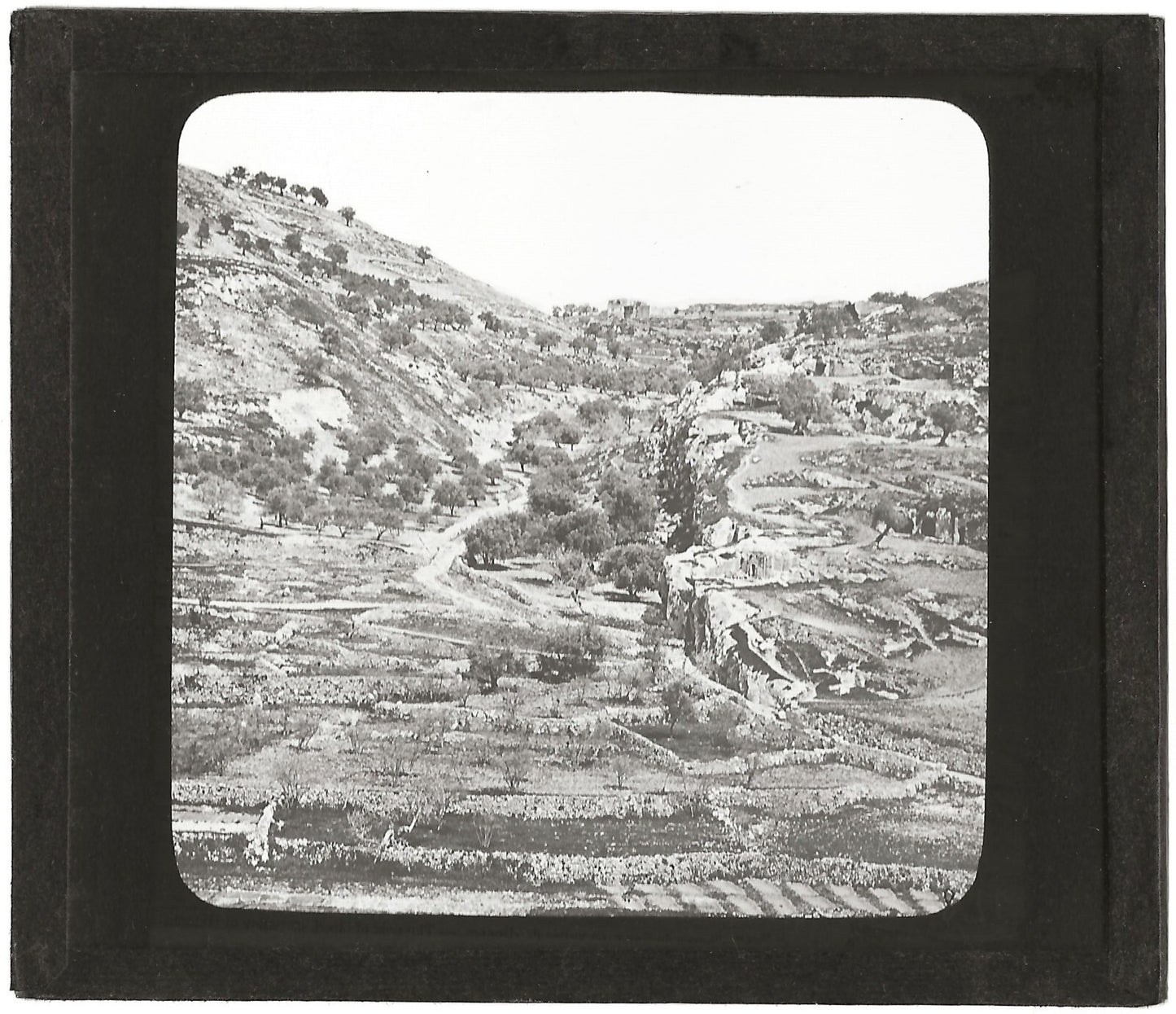 Champ du sang, Jerusalem, photo ancienne plaque de verre, positif 8,5x10 cm