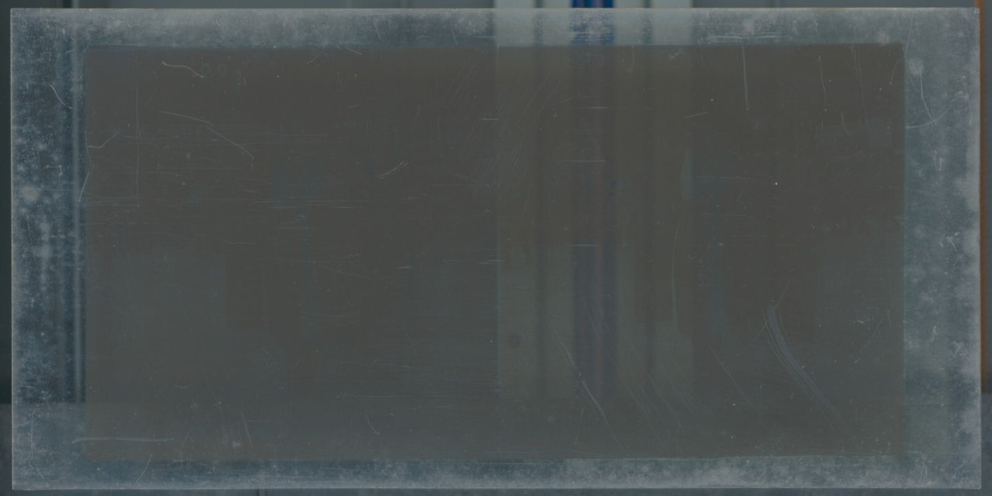 Scène de vie, Longchamp, Paris, plaque verre stéréoscopique, positif 8,5x17 cm