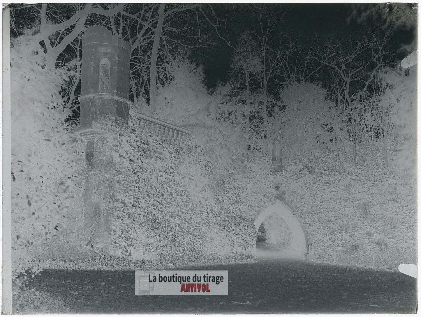 Bagatelle, Bois de Boulogne Paris, plaque verre, photo ancienne, négatif 9x12 cm