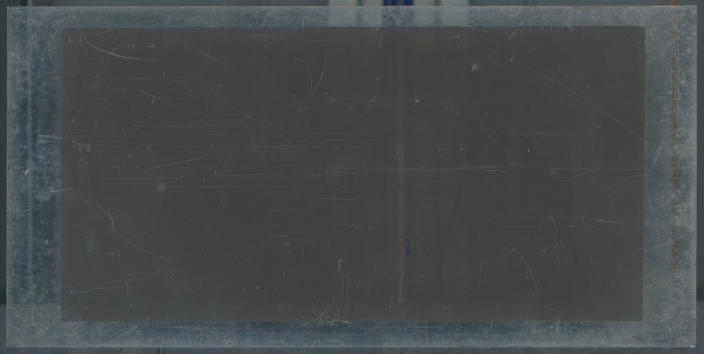 Personnages, Longchamp, Paris, plaque verre stéréoscopique, positif 8,5x17 cm