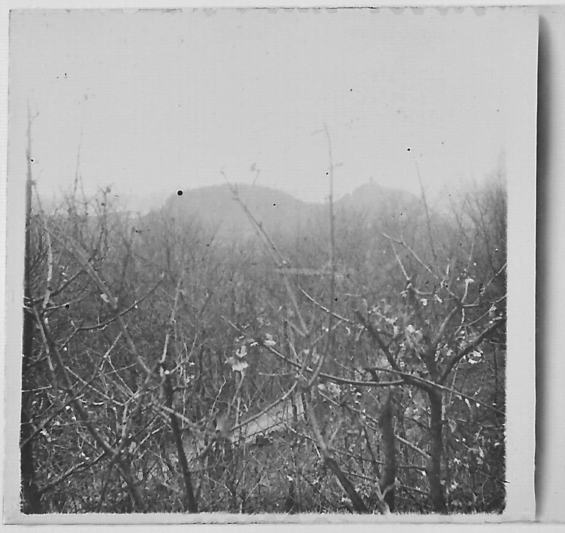 Paysage, campagne, Plaque verre photo stéréo, positif noir & blanc 4,5x10,7 cm