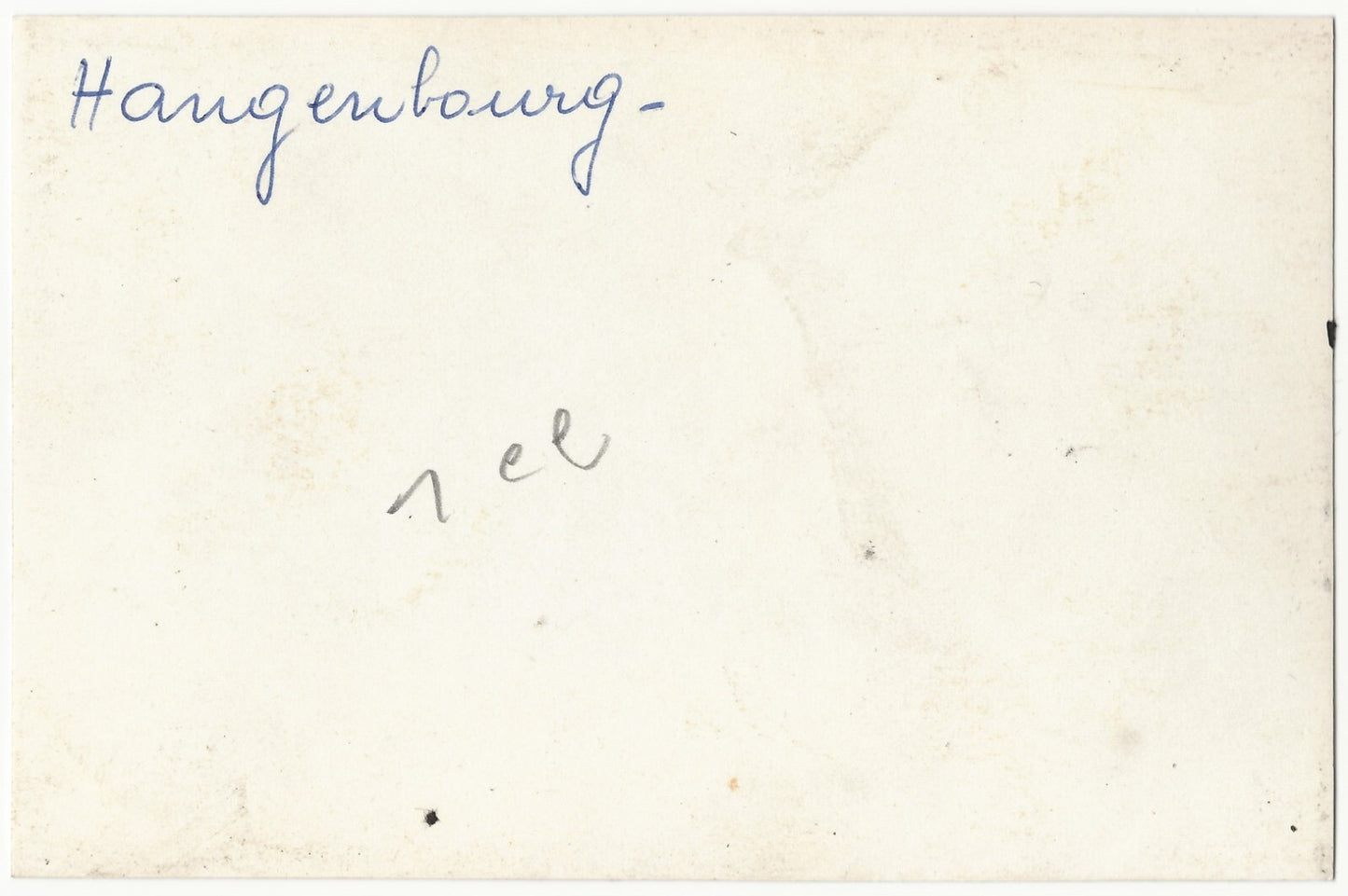 Plaque verre photo ancienne, négatif noir & blanc 9x14 cm, Wangenbourg-Engenthal