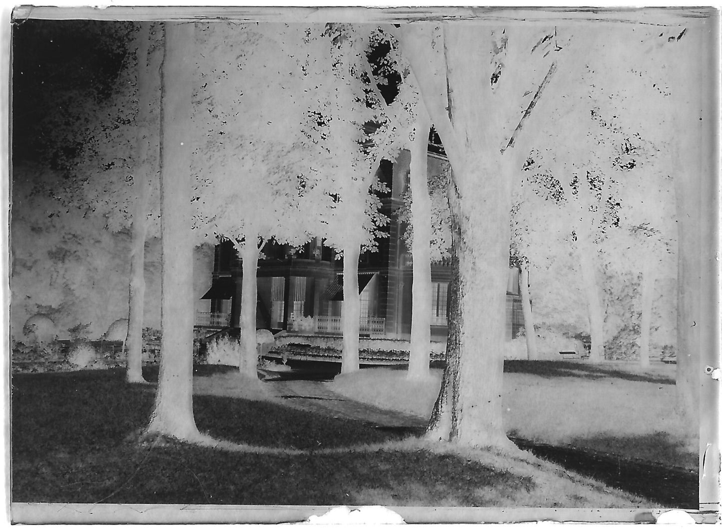 Plaque verre photo ancienne négatif noir et blanc 6x9 cm parc château arbres