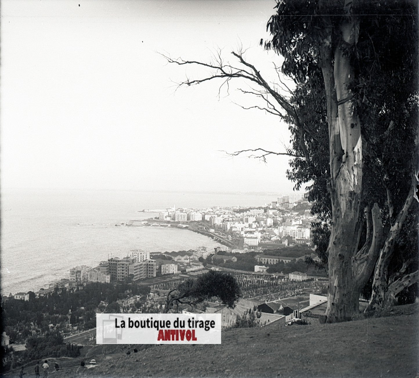 Algérie, Alger mer, plaque verre, photo stéréo, négatif N&B 6x13 cm