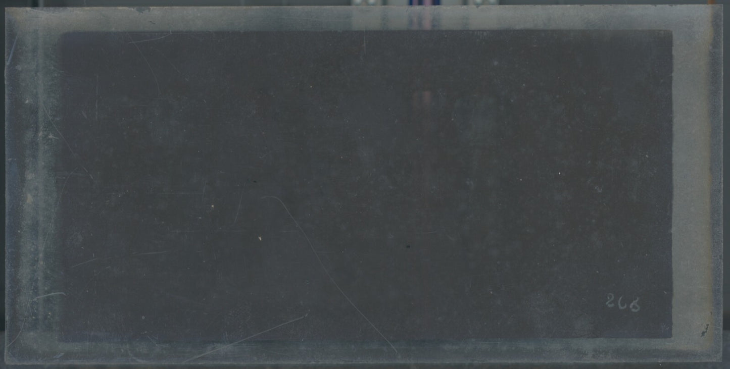 Scène de vie, Longchamp, Paris, plaque verre stéréoscopique, positif 8,5x17 cm