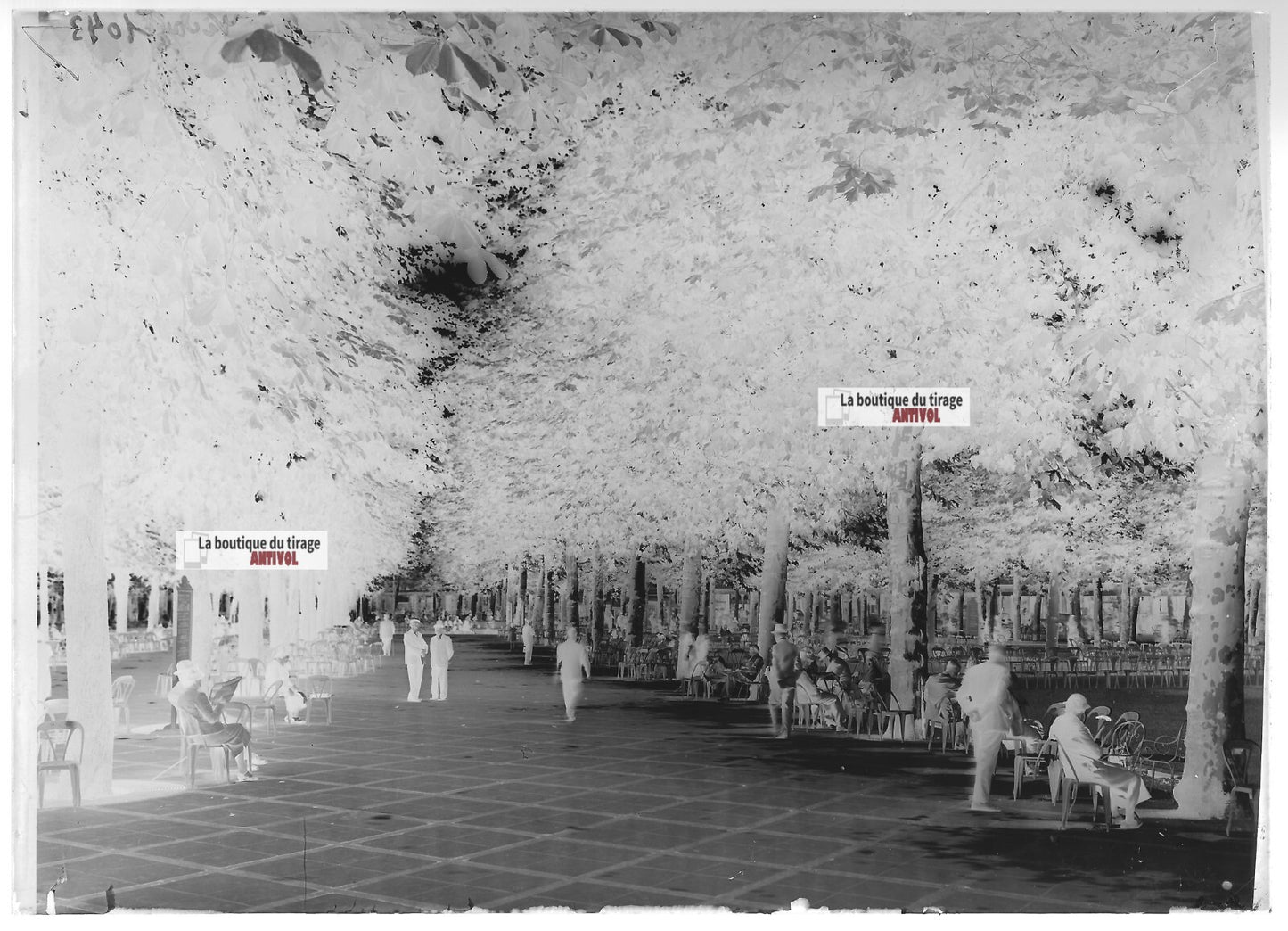 Plaque verre photo ancienne négatif noir et blanc 13x18 cm Vichy parc public