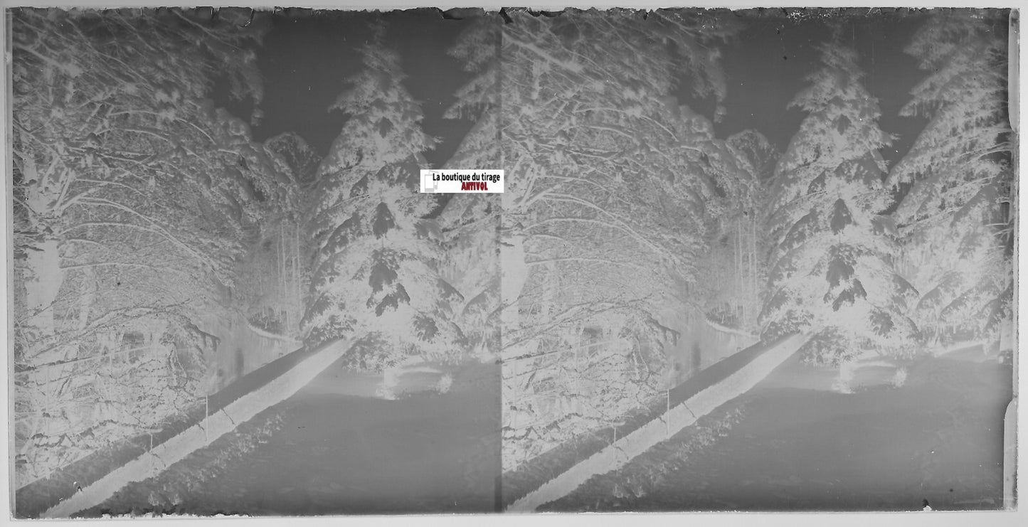 Hiver, neige, Plaque verre photo ancienne, stéréo négatif noir & blanc 9x18 cm