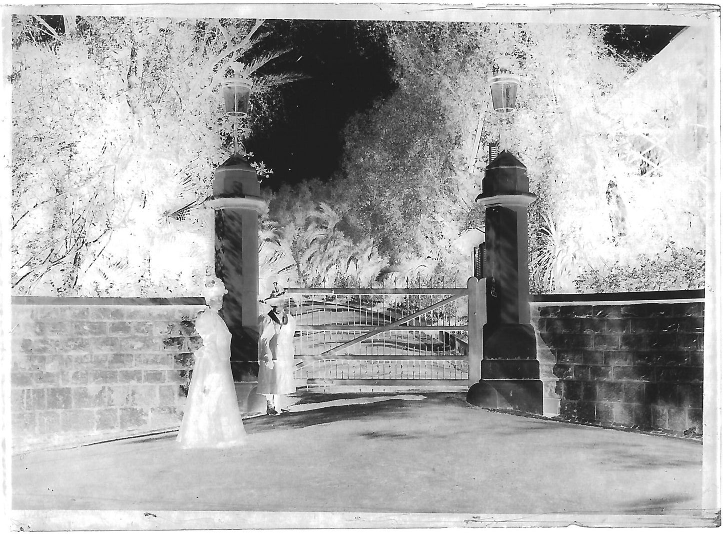 Plaque verre photo négatif noir et blanc 6x9 cm 2 dames entrée glass plate