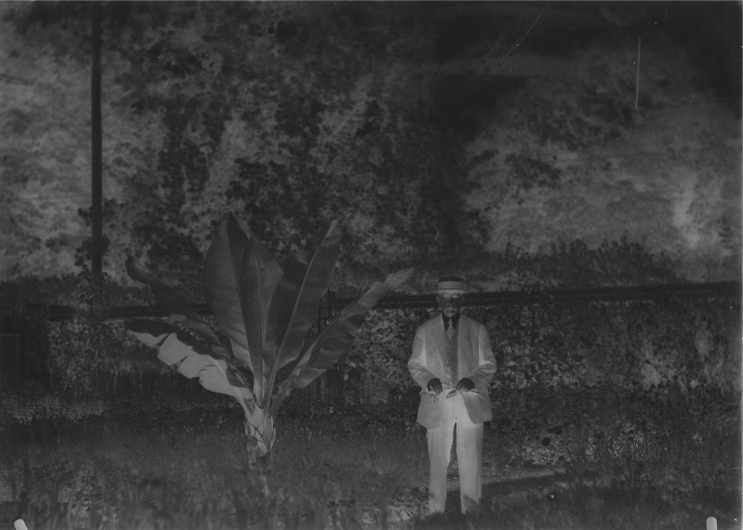 Plaque verre photo ancienne négatif 13x18 cm, noir et blanc homme collection