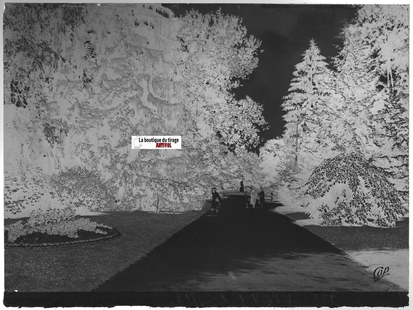 Vittel, Vosges, Plaque verre photo ancienne, négatif noir & blanc 10x15 cm