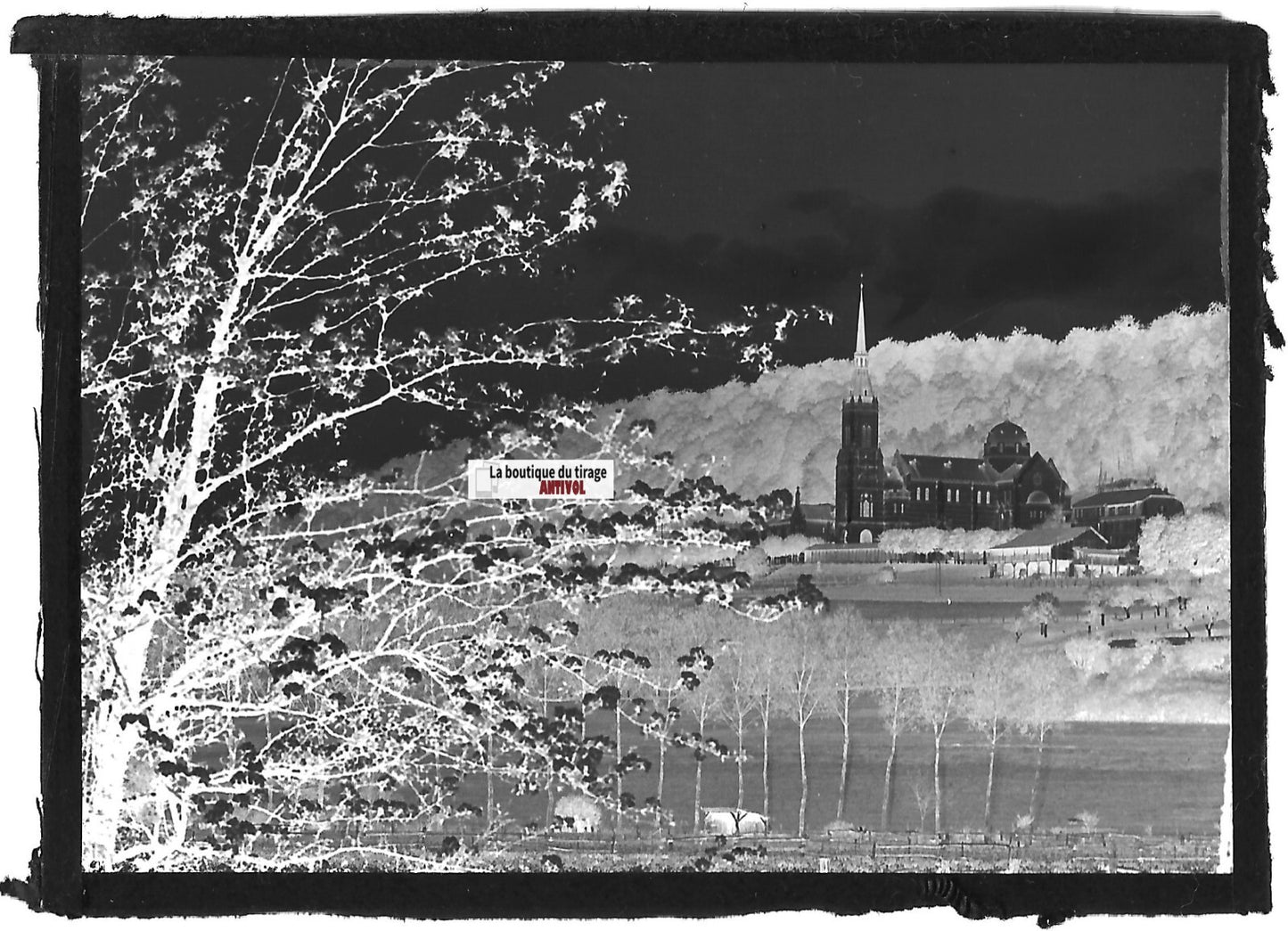 Domrémy-la-Pucelle, Plaque verre photo ancienne, négatif noir & blanc 6x9 cm