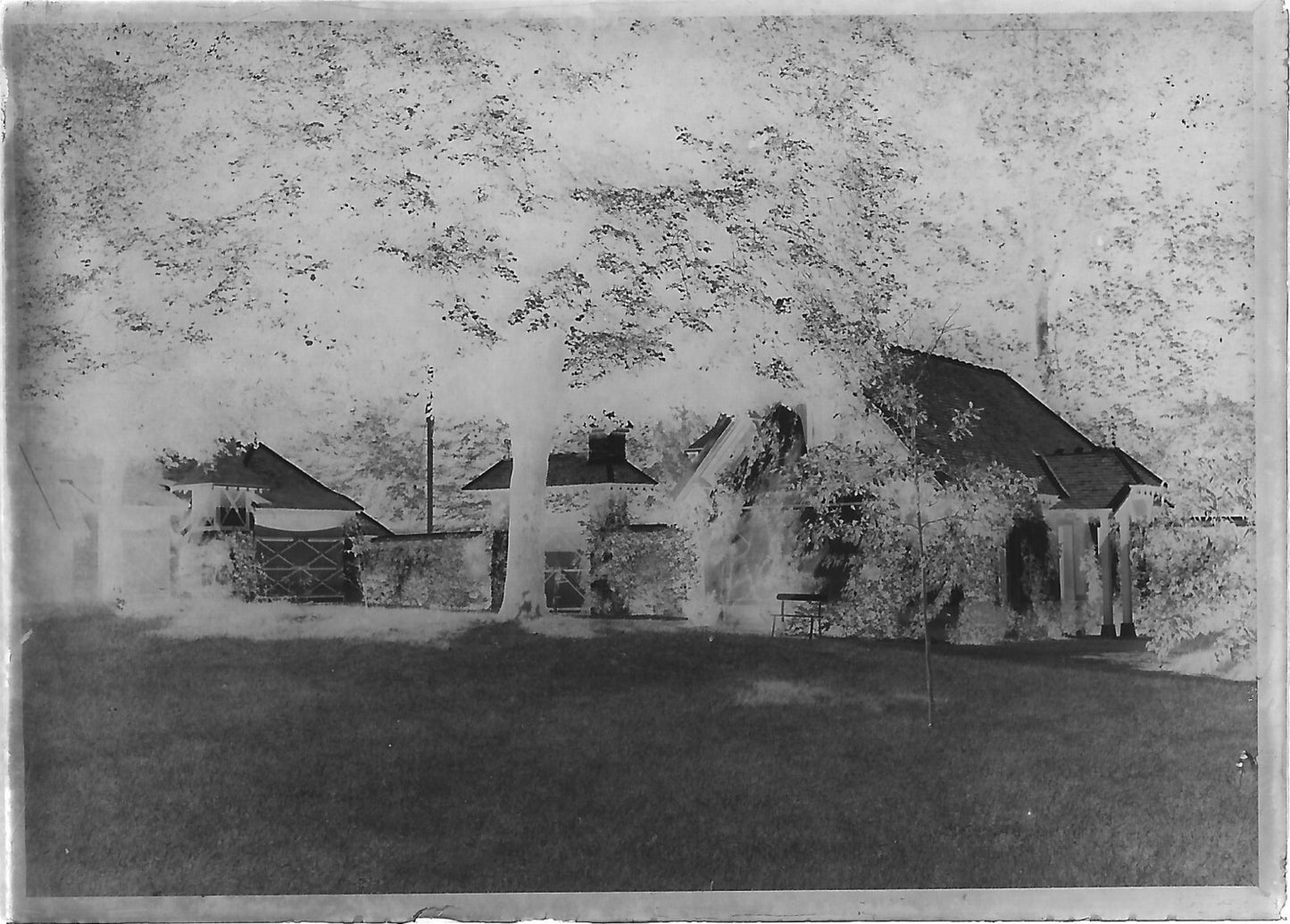 Plaque verre photo négatif noir et blanc 6x9 cm écurie château glass plate