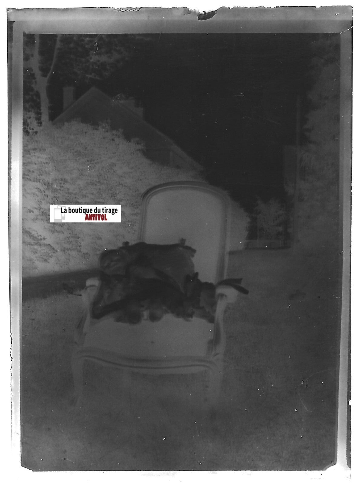 Bébé, fauteuil, Plaque verre photo ancienne, négatif noir & blanc 6x9 cm