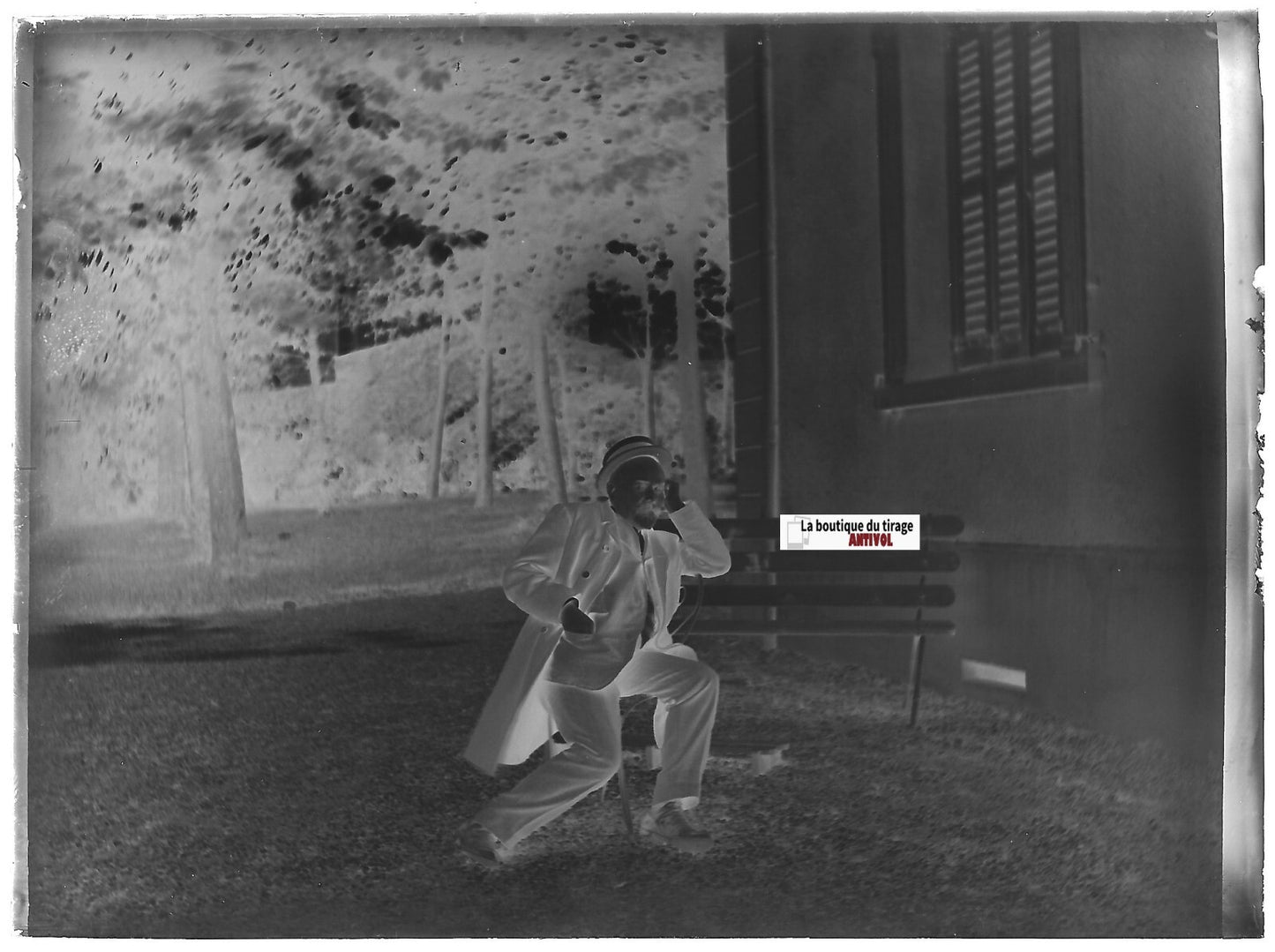 Homme, jardin, France, Plaque verre photo ancienne, négatif noir & blanc 9x12 cm
