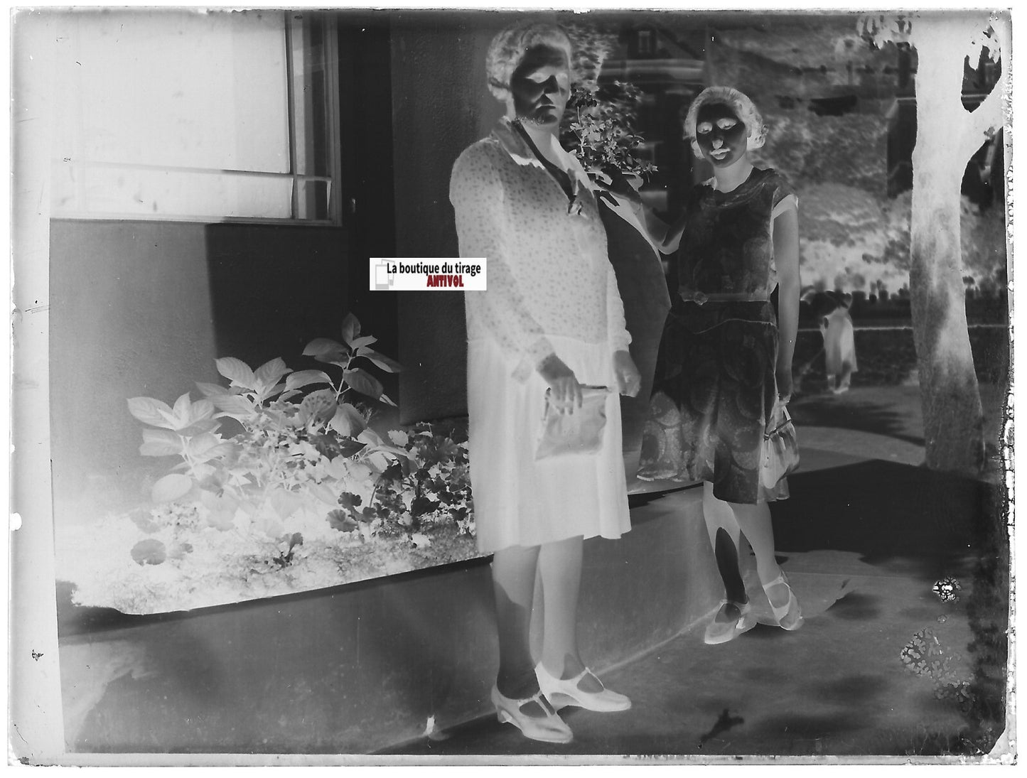 Femmes, France, Plaque verre photo ancienne, négatif noir & blanc 9x12 cm