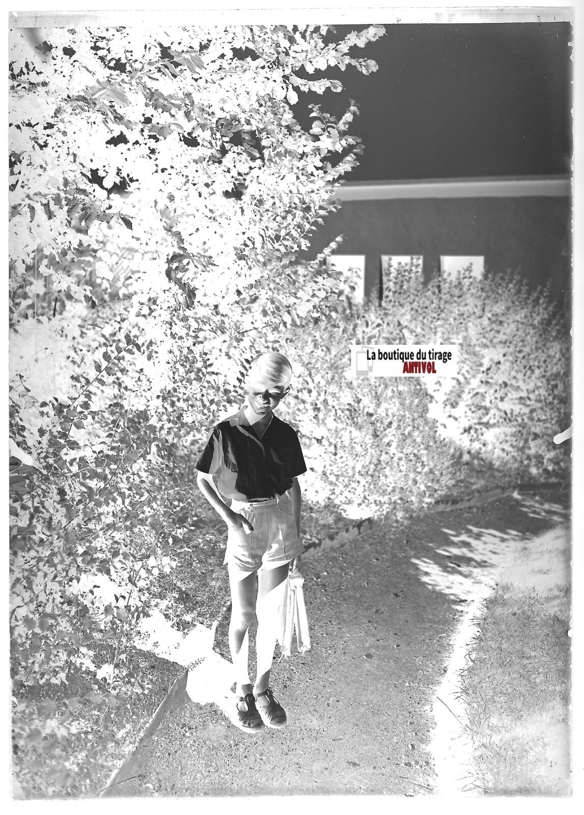 Plaque verre photo ancienne négatif noir et blanc 13x18 cm Trois Epis enfant