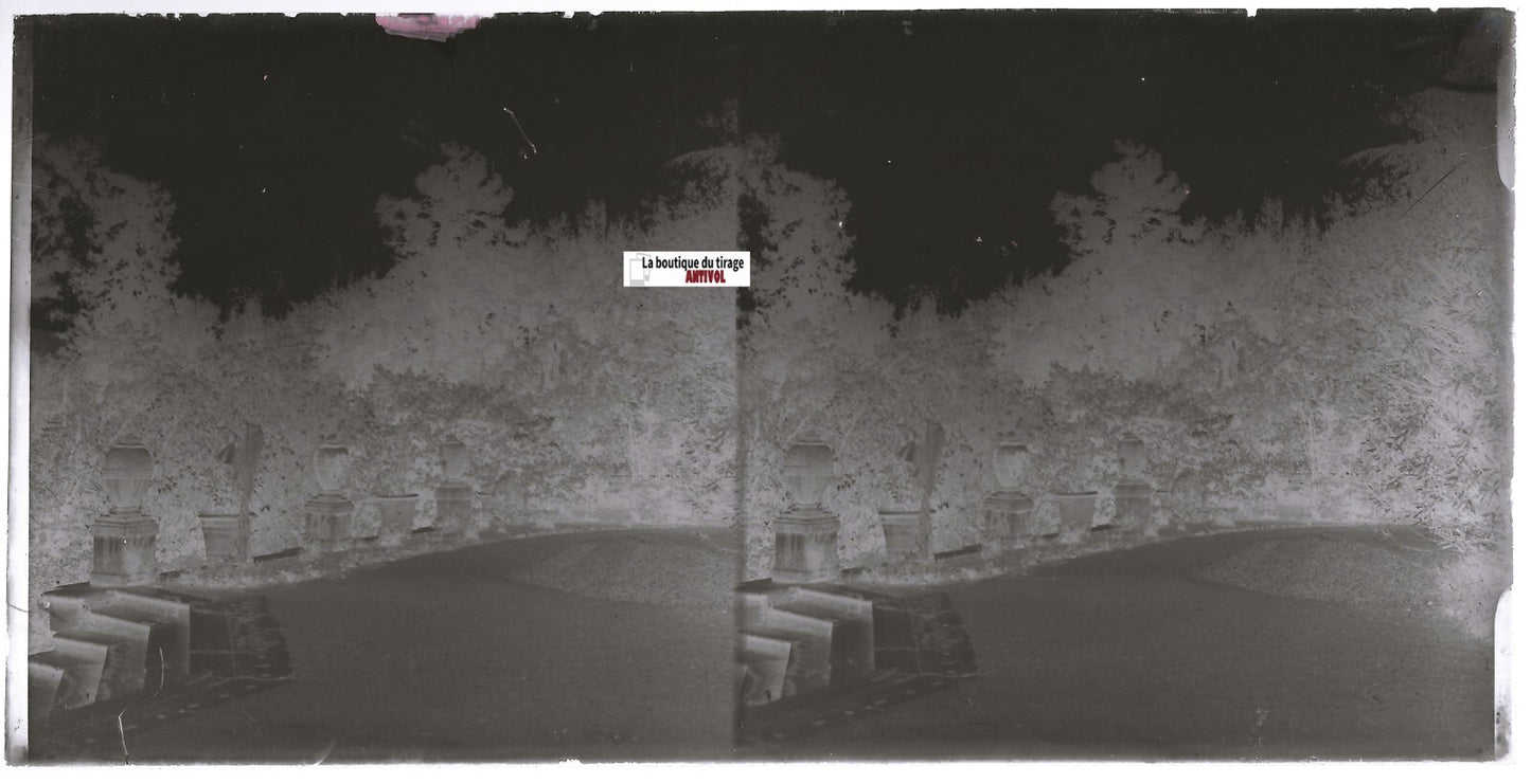 Jardin, parc, Plaque verre photo ancienne, stéréo négatif noir & blanc 9x18 cm