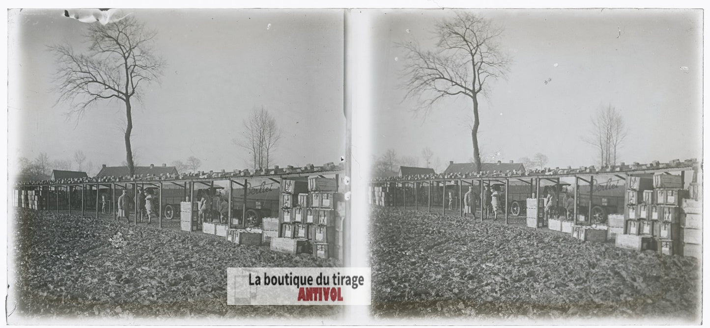 Logistique, camions Berliet, WW1, plaque verre photo ancienne stéréo 6x13 cm