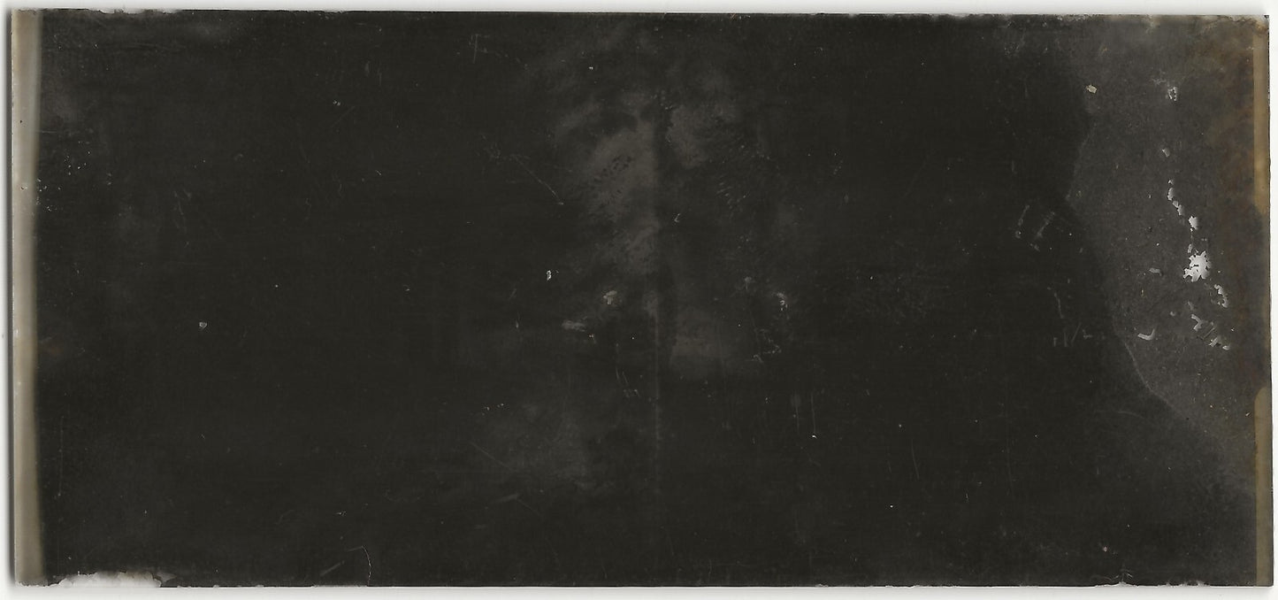 Versailles, Temple de l'Amour, Plaque verre, stéréo négatif noir & blanc 6x13 cm