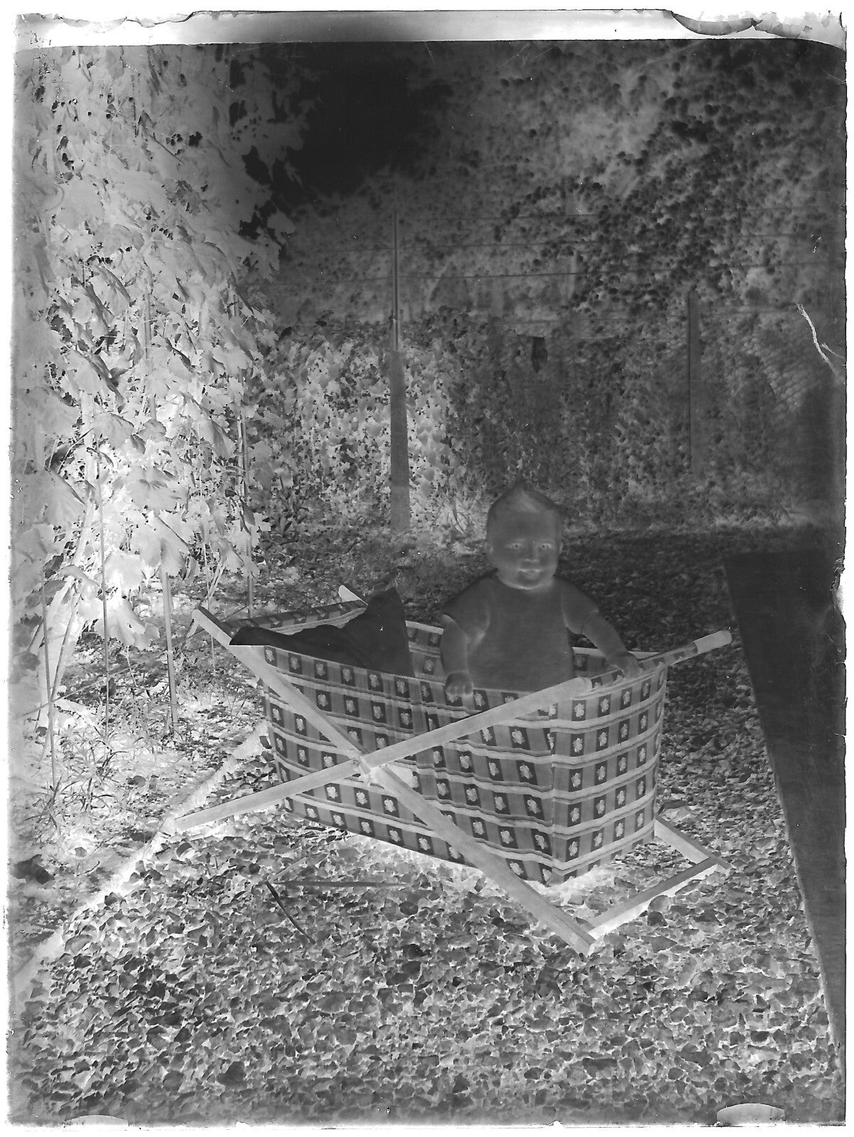 Plaque verre photo ancienne négatif noir et blanc 9x12 cm bébé glass plate