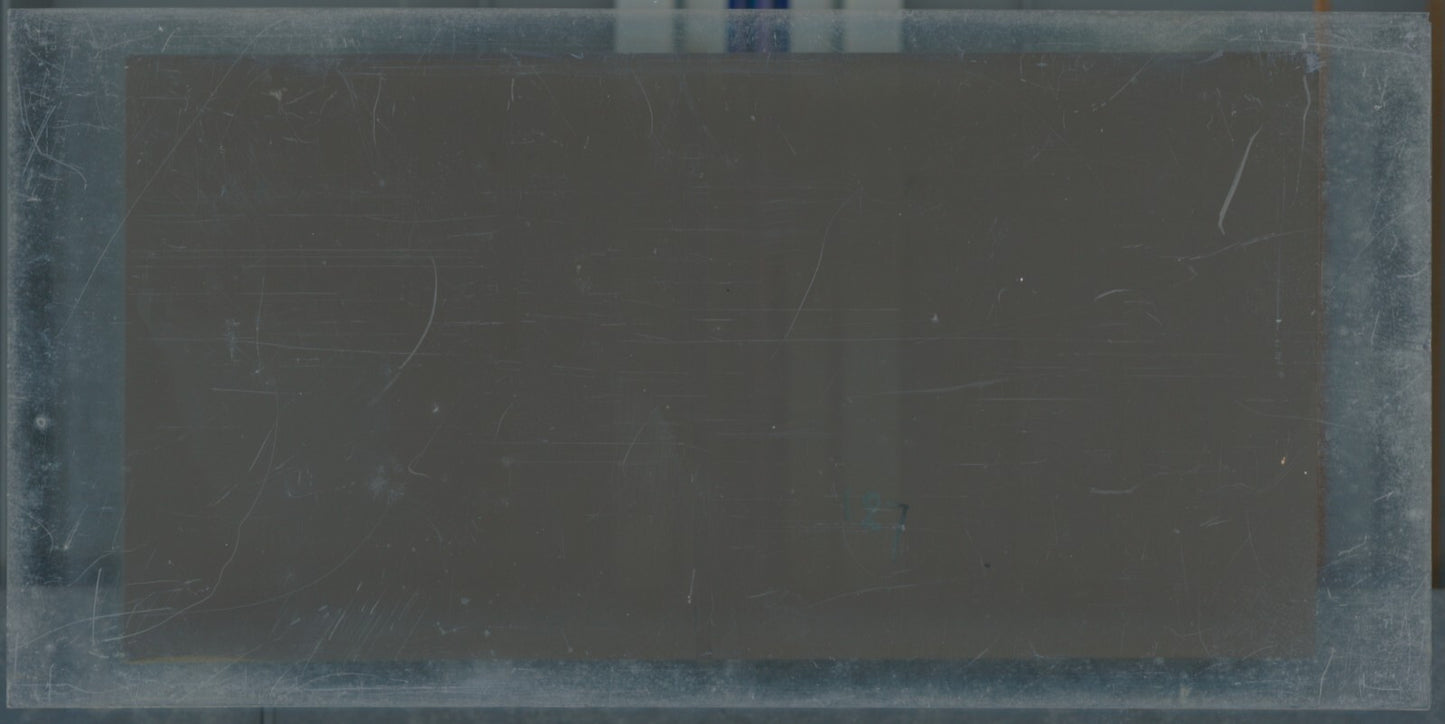 Hippodrome de Longchamp, Paris, stéréoscopie plaque verre, positif 8,5x17 cm