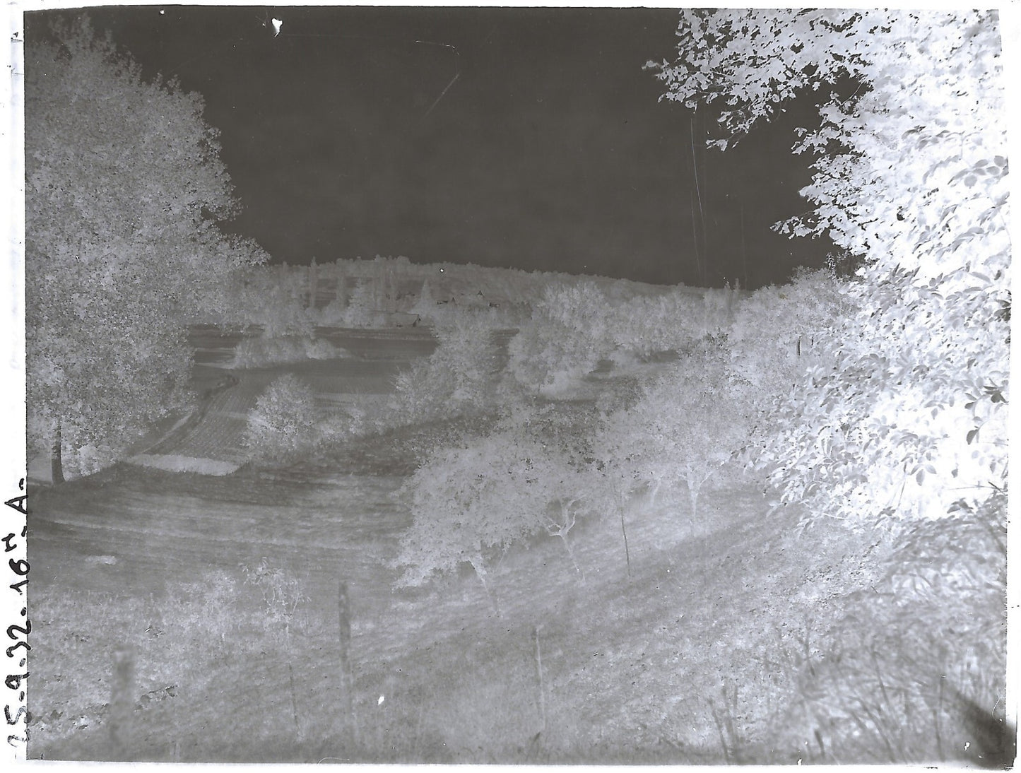 Plaque verre photo ancienne négatif noir et blanc 9x12 cm paysage champs France