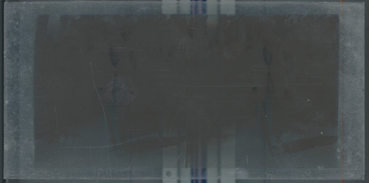 Personnages, Longchamp, Paris, plaque verre stéréoscopique, positif 8,5x17 cm