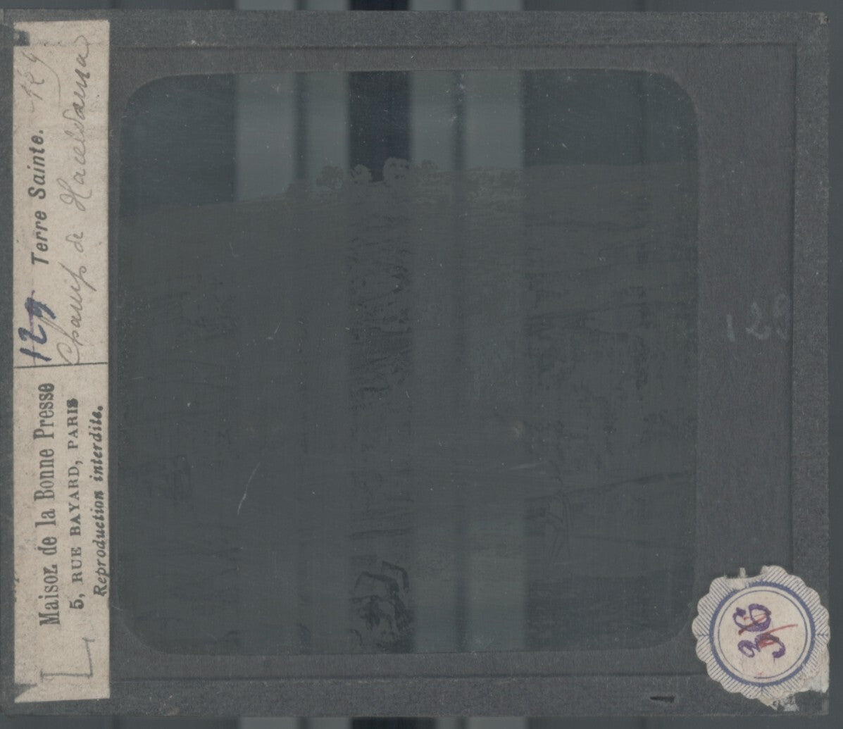 Le champ de Haceldama, photo plaque verre, noir & blanc, positif 8,5x10 cm