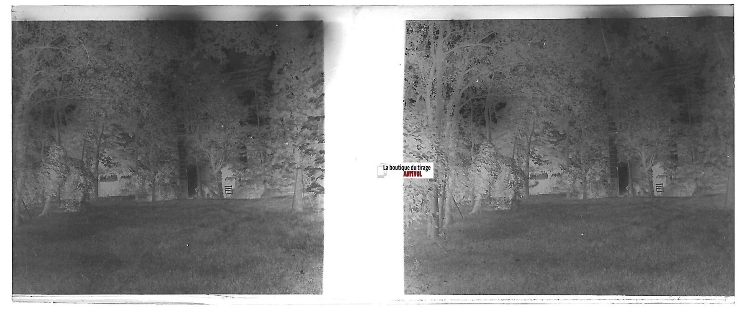 Jardin, forêt, Plaque verre photo stéréo, négatif noir & blanc 4,5x10,7 cm