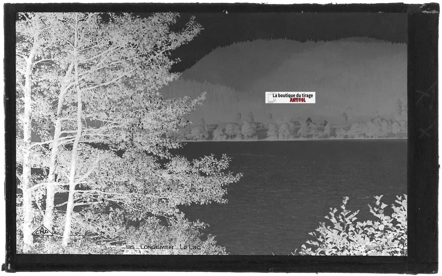 Plaque verre photo, négatif noir & blanc 9x14 cm, lac de Longemer, Vosges
