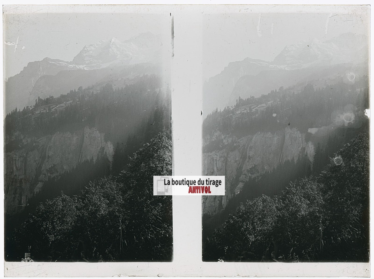Forêt et falaise, Alpes Suisse, stéréo photo plaque verre, noir & blanc, 9x12 cm