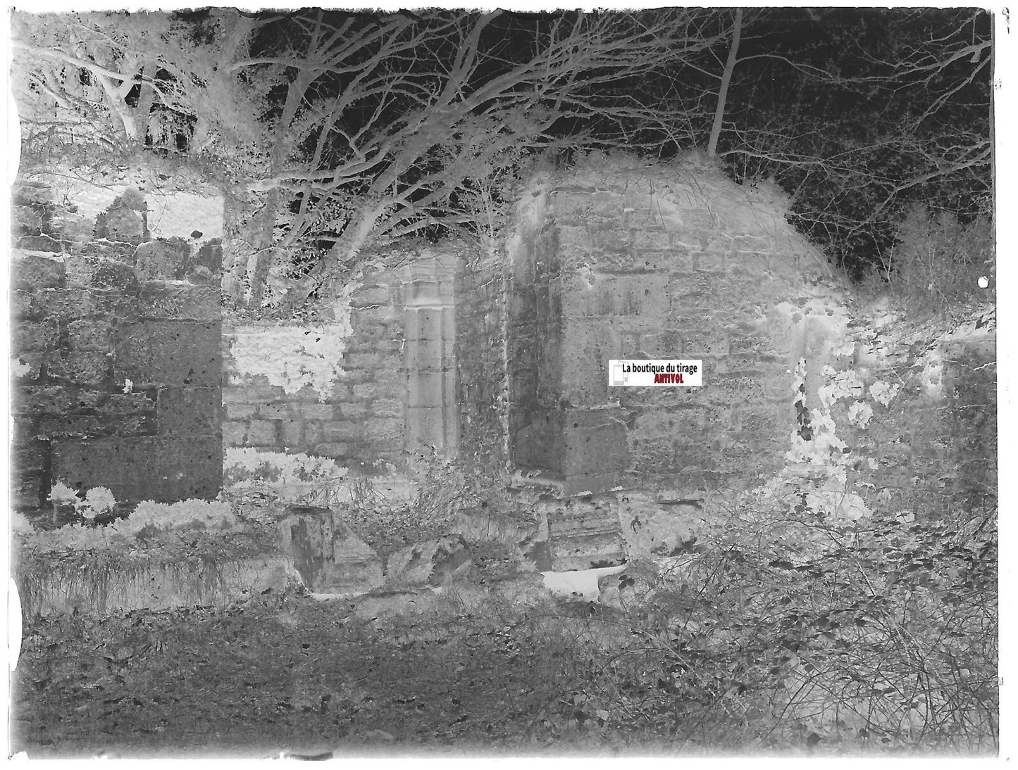 Ruine vers Mont Sainte Odile, Plaque verre photo, négatif noir & blanc 9x12 cm