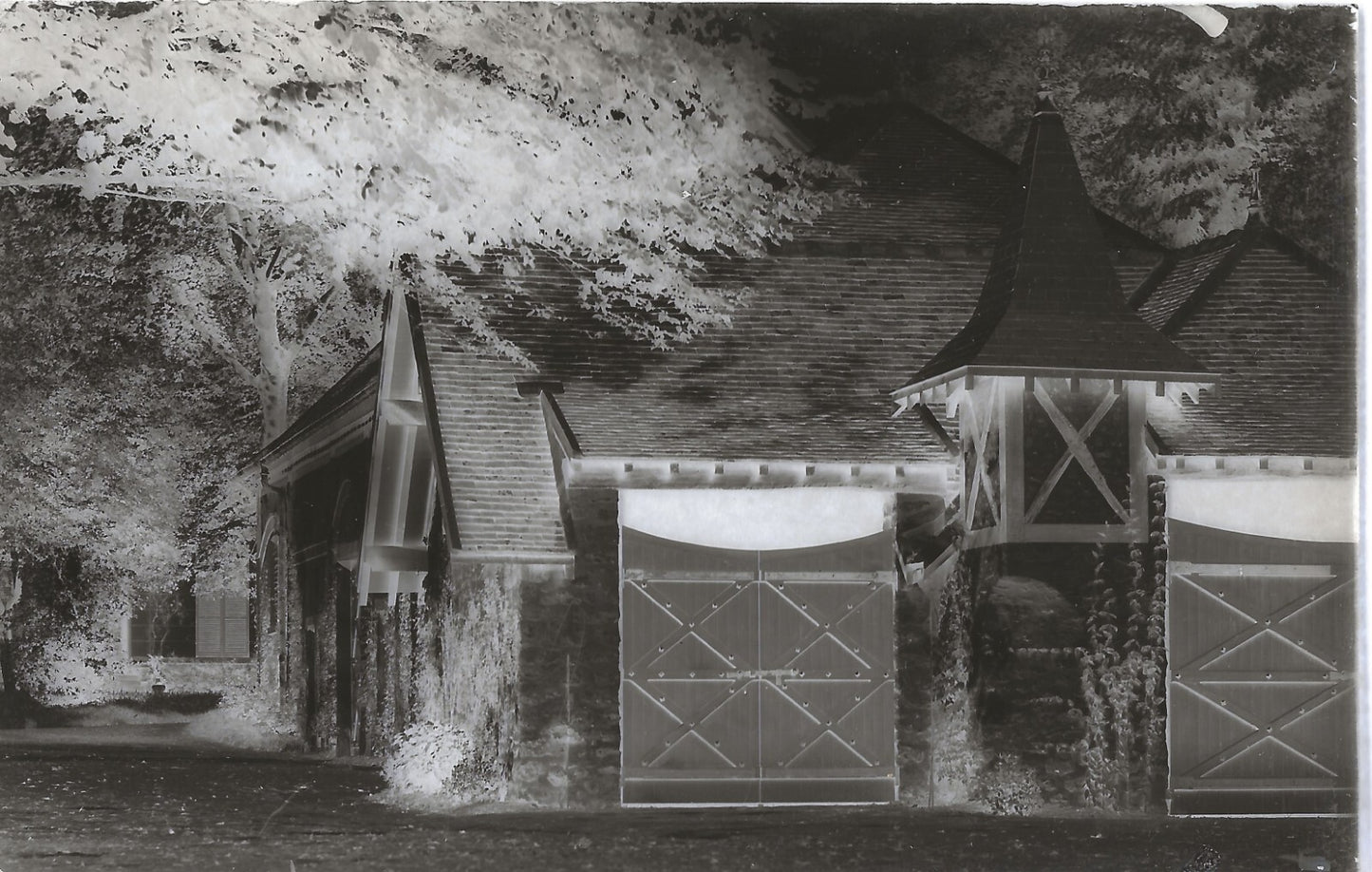 Plaque verre photo ancienne négatif 9x14 cm, noir et blanc château arbre portail