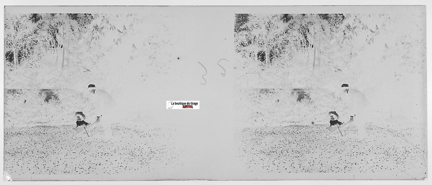 Brouette, enfant, Plaque verre photo stéréo, négatif noir & blanc 4,5x10,7 cm