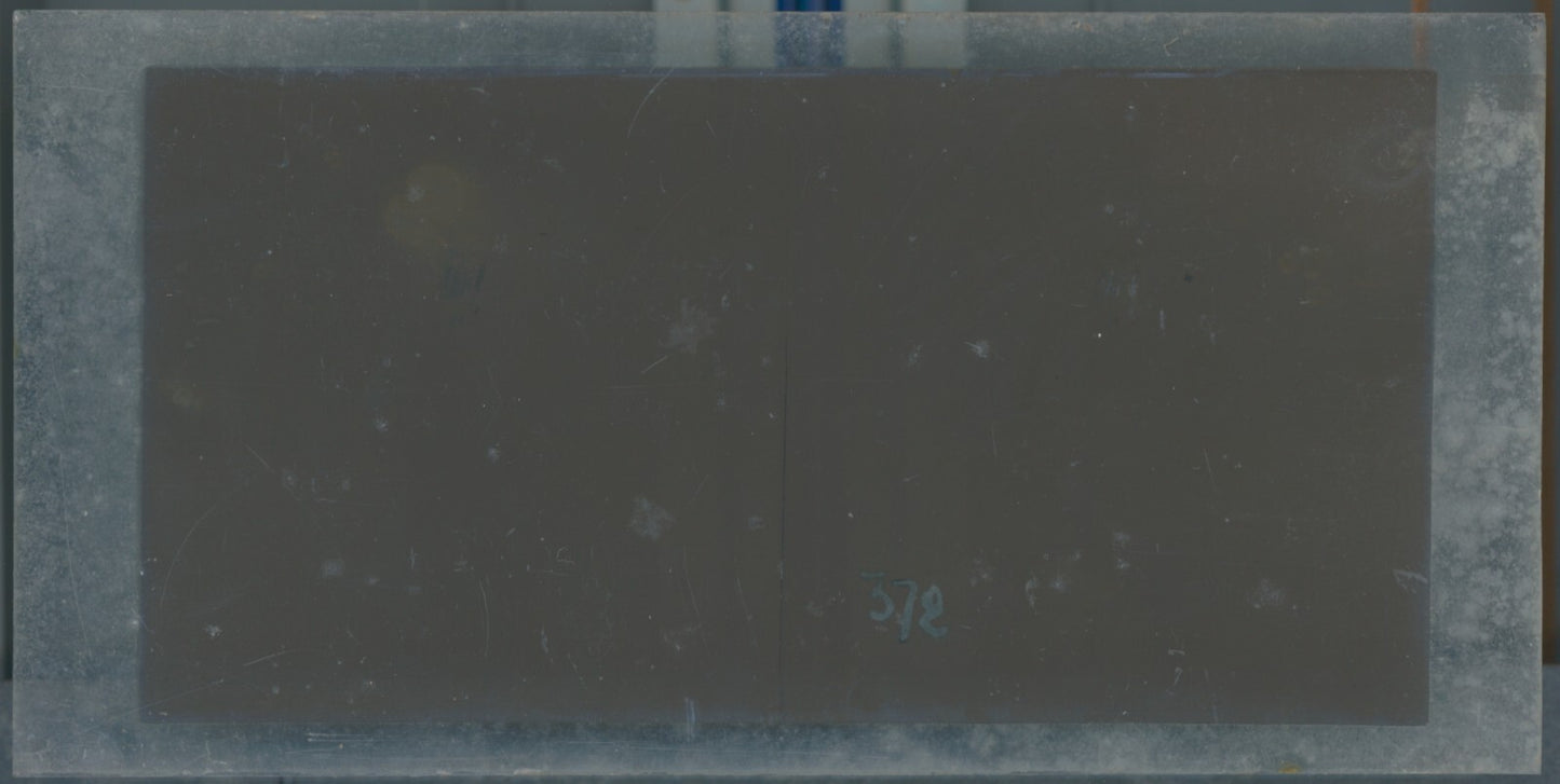 Hippodrome de Longchamp, Paris, stéréoscopie plaque verre, positif 8,5x17 cm