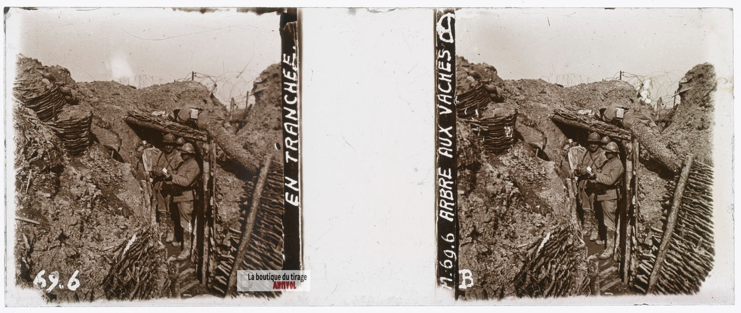 Arbre aux Vaches, tranchée guerre WW1, plaque verre stéréo, photo 4,5x10,7 cm