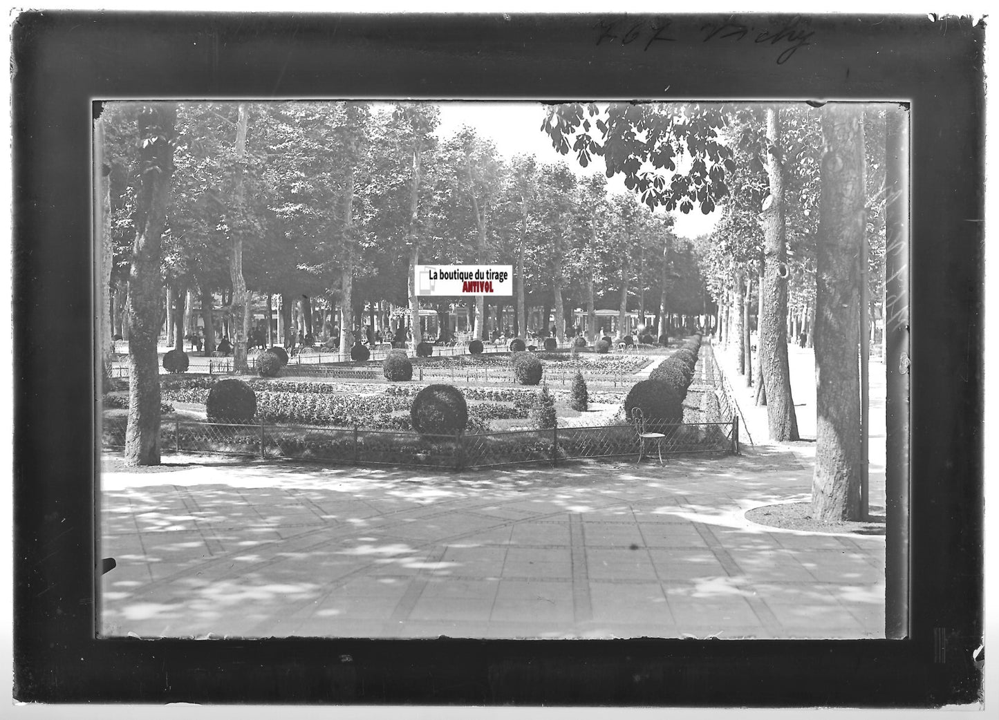 Plaque verre photo ancienne positif noir & blanc 13x18 cm Vichy, parc jardin