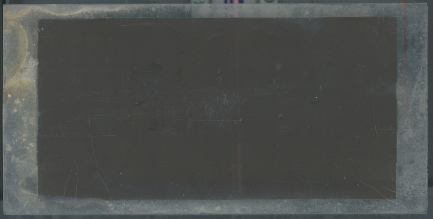 Jour de course, Longchamp, Paris, plaque verre stéréoscopique, positif 8,5x17 cm