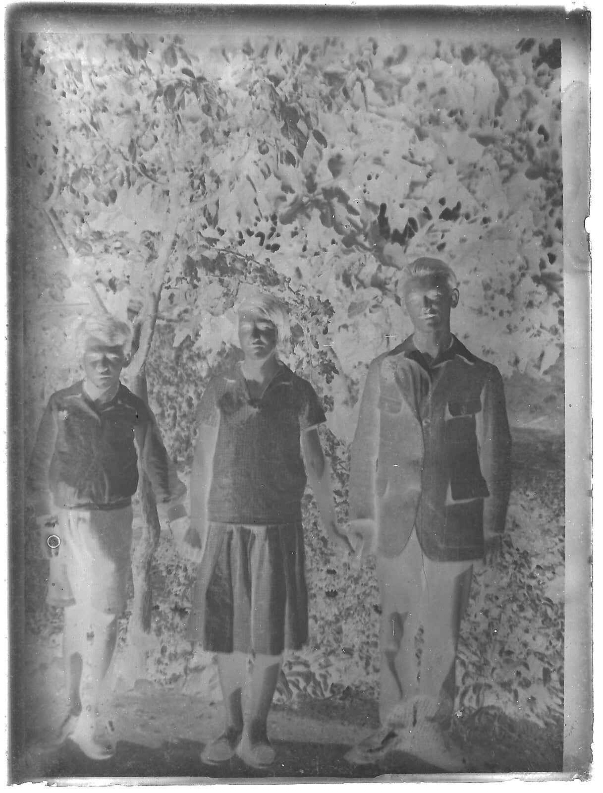 Plaque verre photo ancienne noir et blanc négatif 9x12 cm famille glass plate