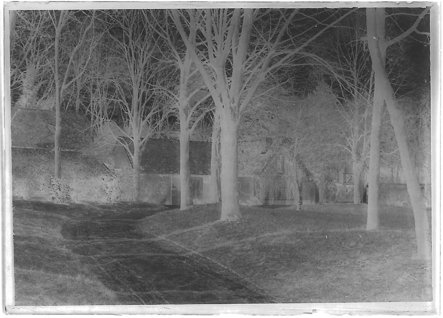 Plaque verre photo ancienne négatif noir et blanc 6x9 cm château parc arbres