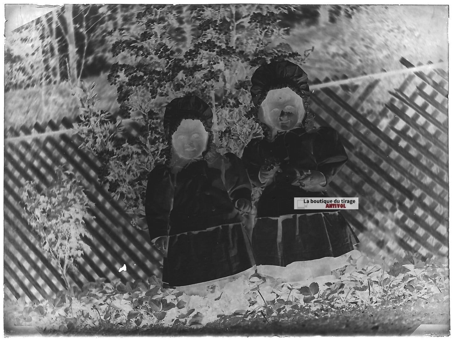 Plaque verre photo ancienne négatif noir et blanc 9x12 cm petites filles jardin