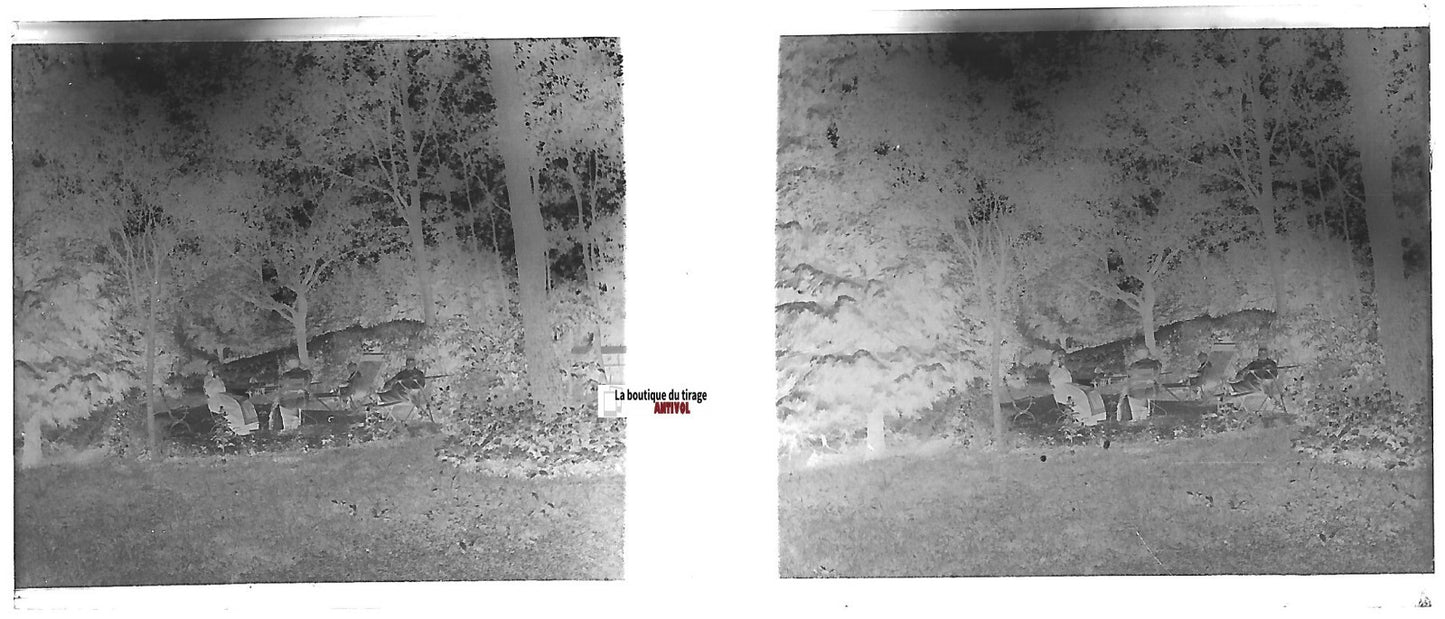 Détente au parc, Plaque verre photo stéréo, négatif noir & blanc 4,5x10,7 cm