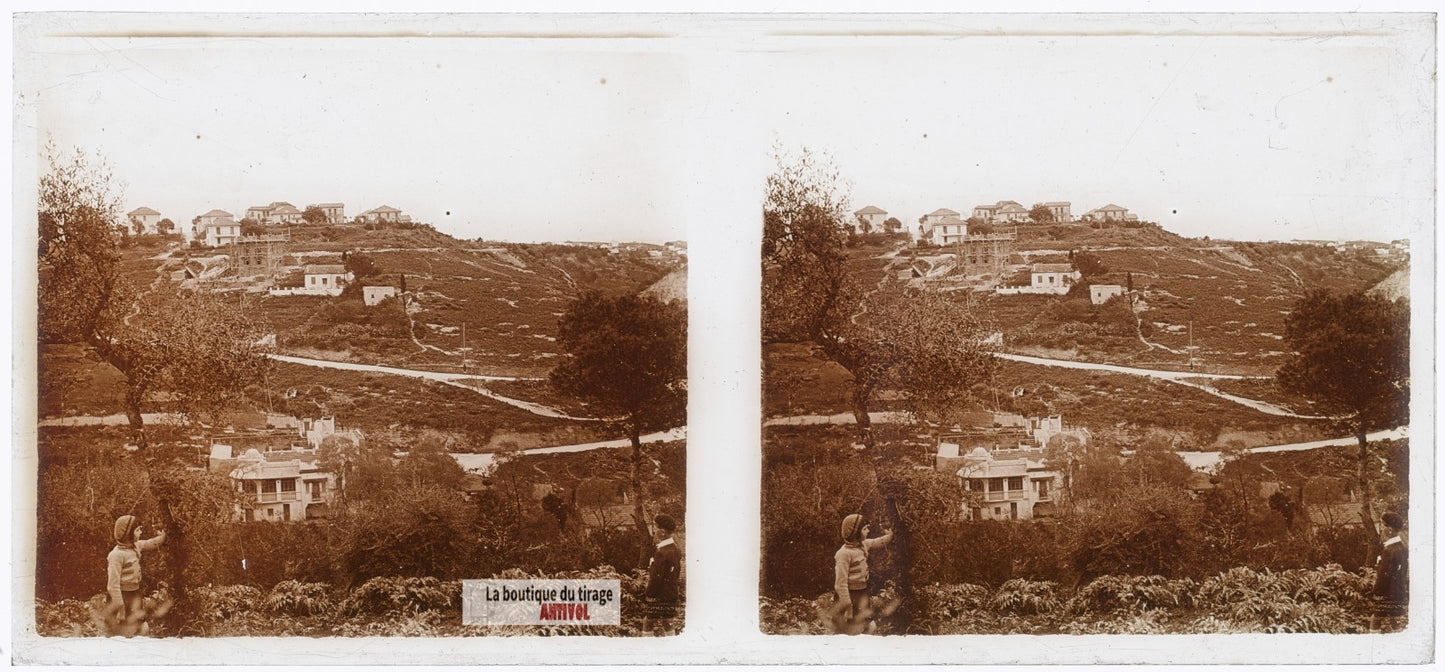 Quartier sur les hauteurs, Algérie, plaque verre photo ancienne stéréo 6x13 cm