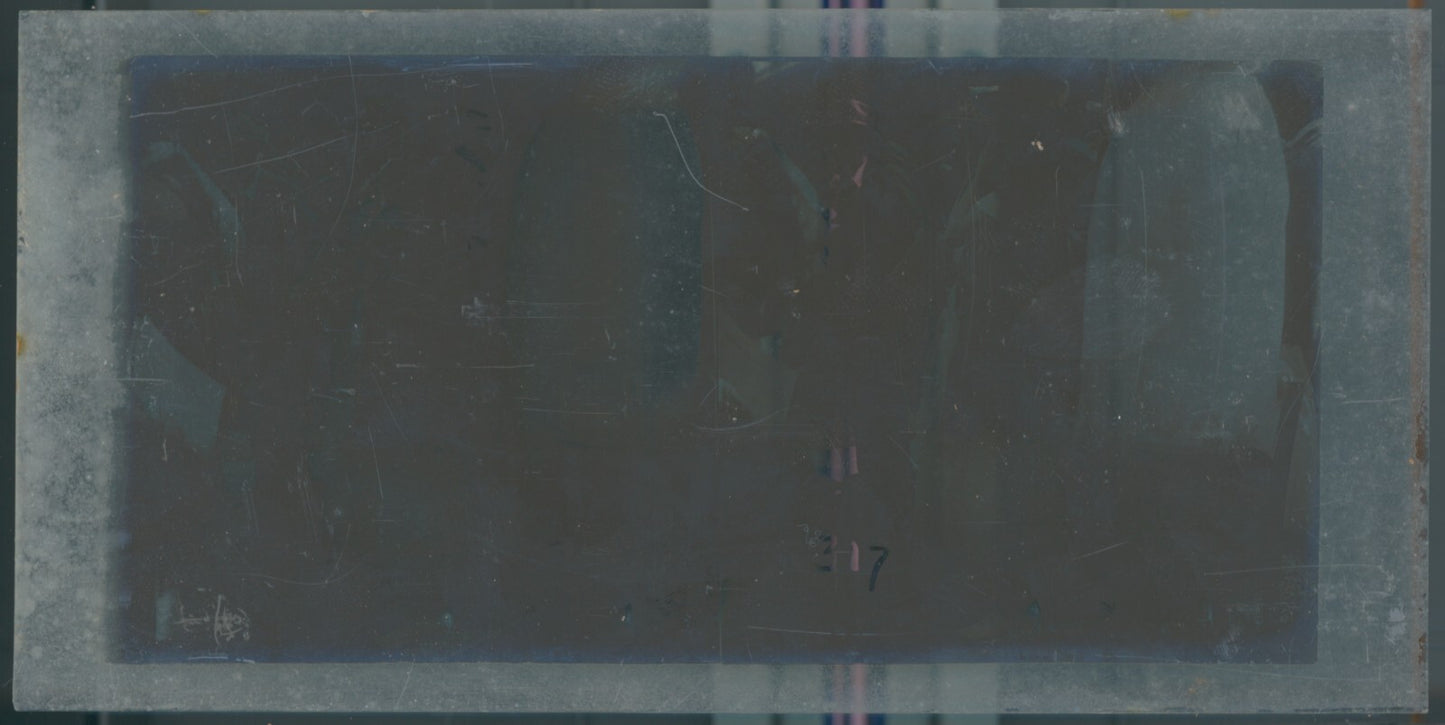 Scène de vie, Longchamp, Paris, plaque verre stéréoscopique, positif 8,5x17 cm