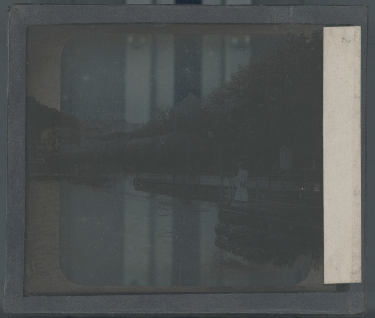 Suisse, lac Léman, photo plaque verre, noir & blanc, positif 8,5x10 cm