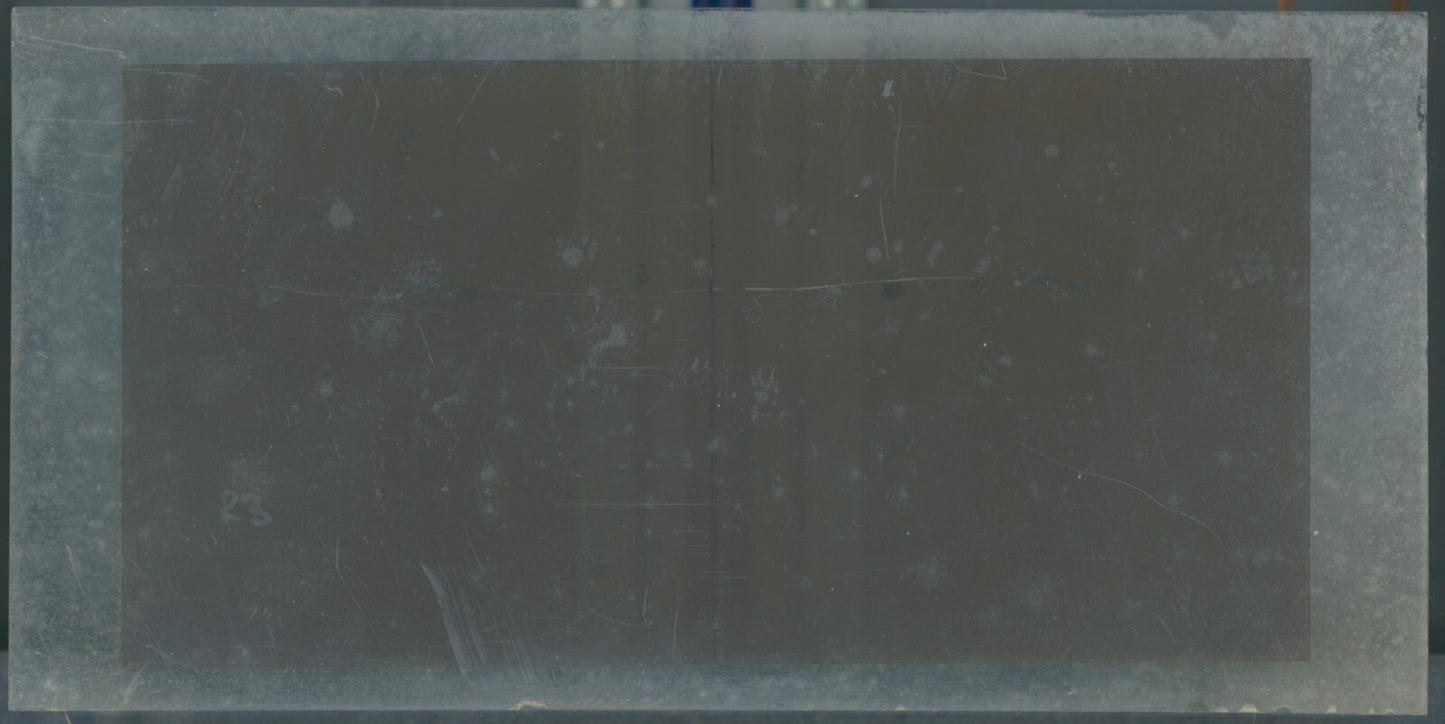 Hippodrome de Longchamp, Paris, stéréoscopie plaque verre, positif 8,5x17 cm