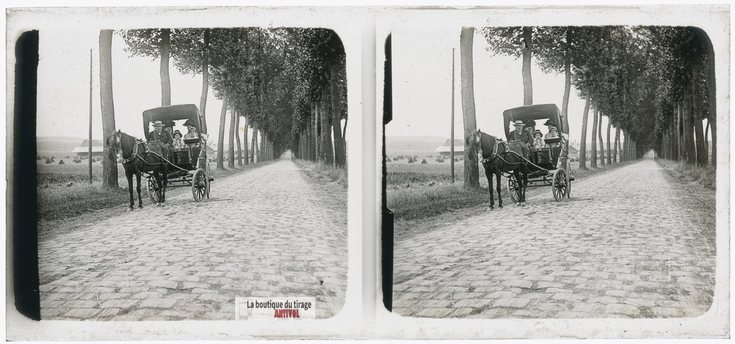 Promenade, voiture hippomobile, plaque verre photo ancienne stéréo 6x13 cm