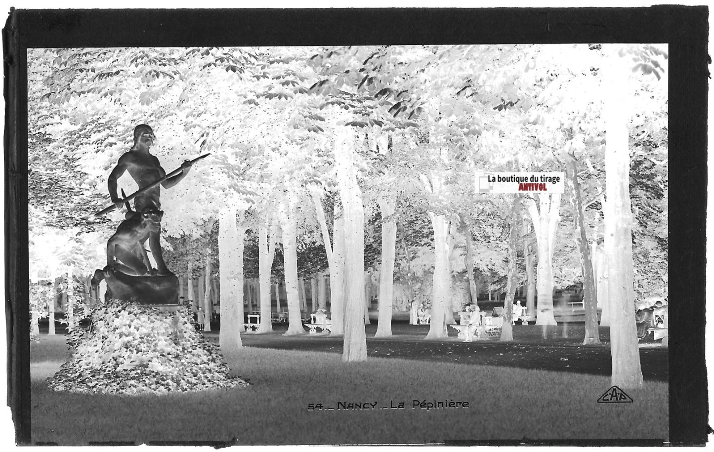 Plaque verre photo vintage, négatif noir & blanc 9x14 cm, Nancy, parc jardin
