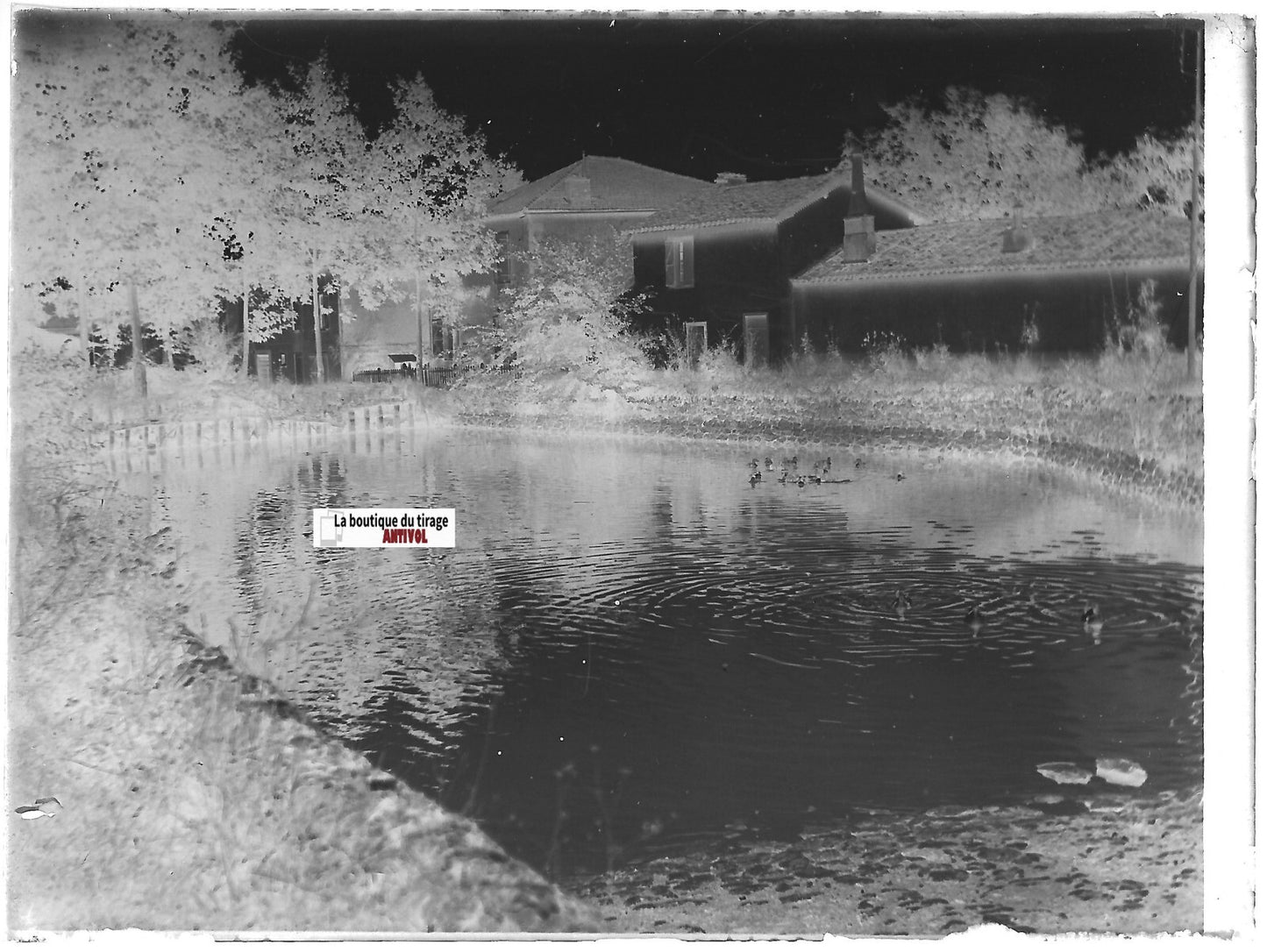 Village, campagne, Plaque verre photo ancienne, négatif noir & blanc 9x12 cm