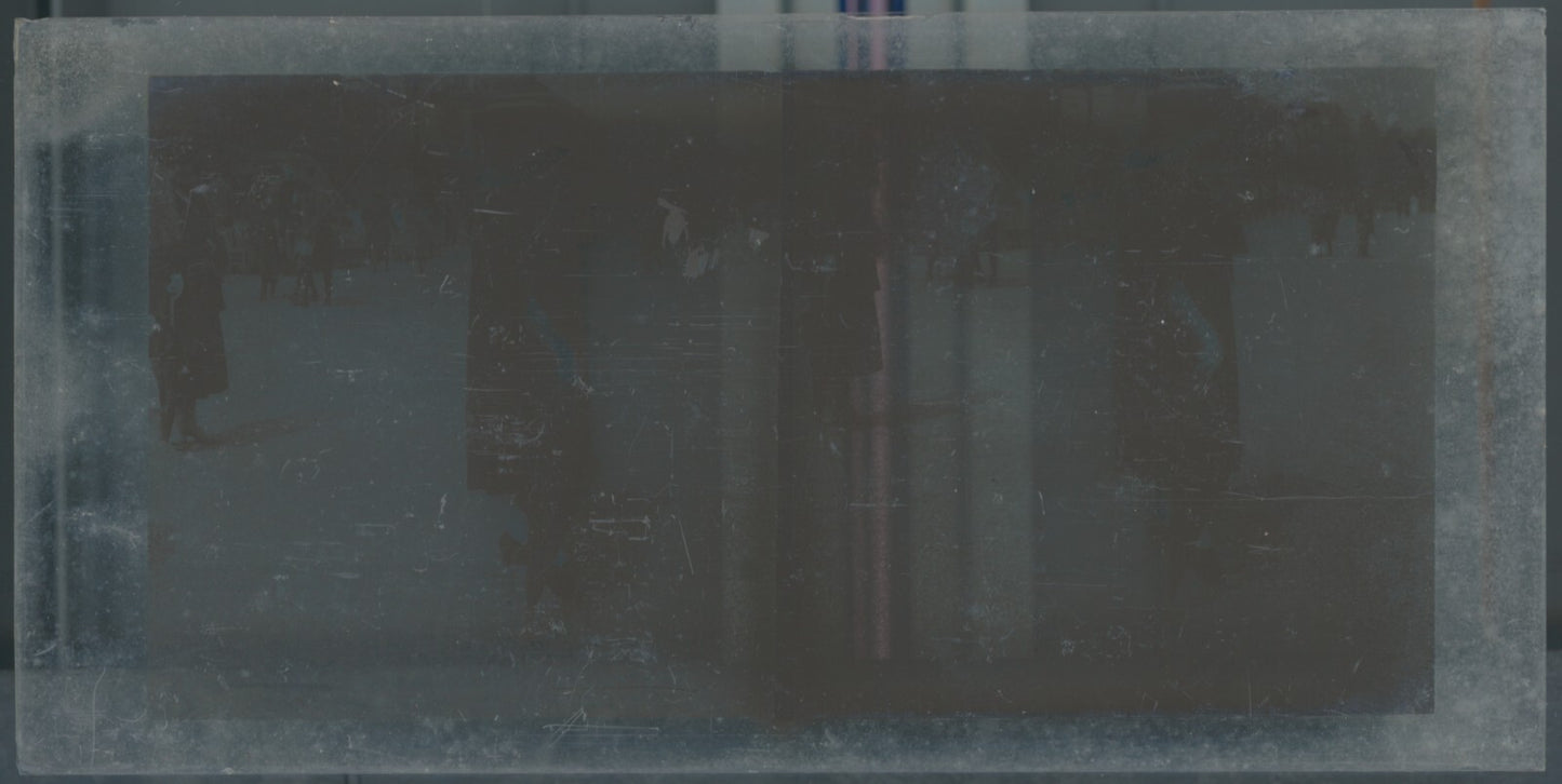 Scène de vie, Longchamp, Paris, plaque verre stéréoscopique, positif 8,5x17 cm